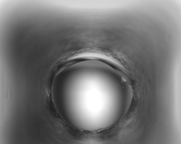 X0000089461206200706221259