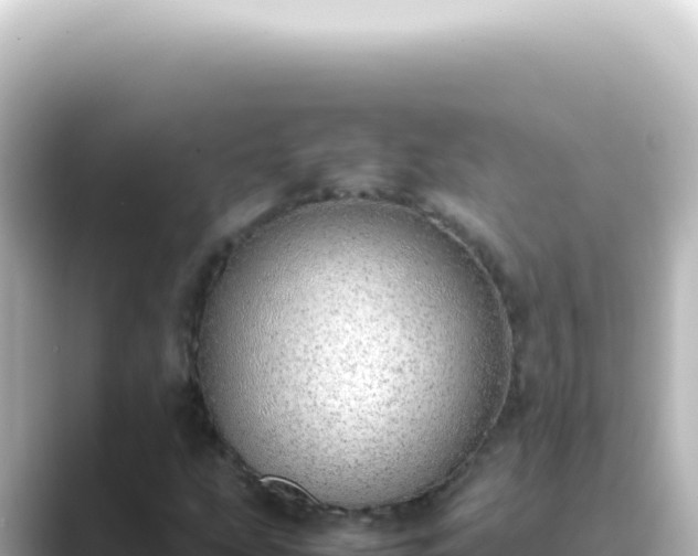 X0000089461207200706221259