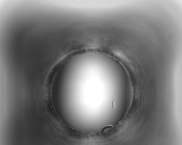 X0000089461208200706221259