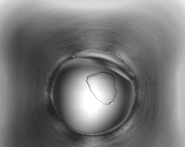 X0000089461210200706221259