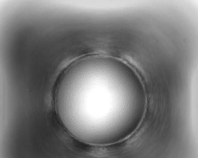 X0000089461215200706221259