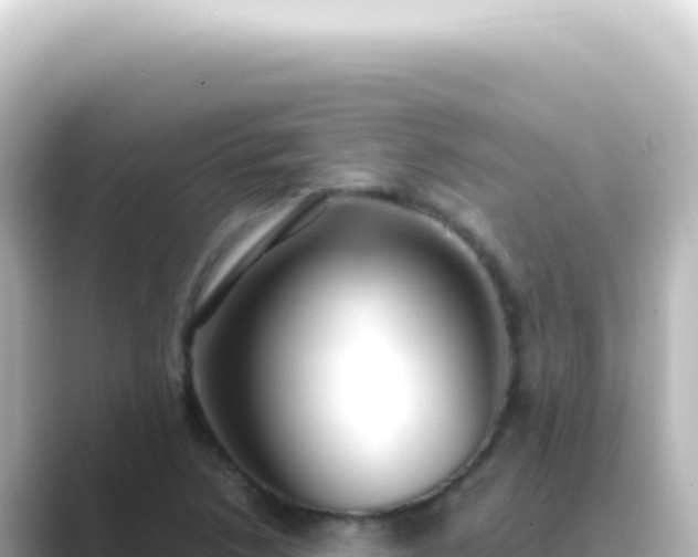 X0000089461218200706221259
