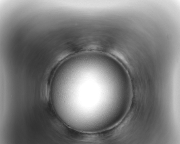 X0000089461219200706221259
