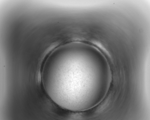 X0000089461221200706221259
