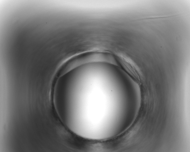 X0000089461222200706221259