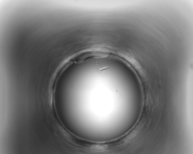 X0000089461224200706221259
