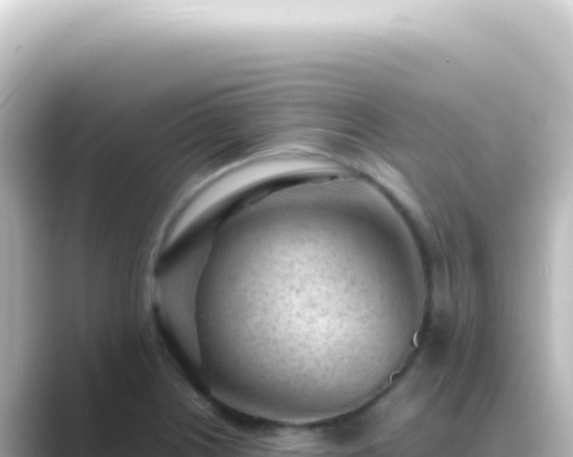 X0000089461226200706221259