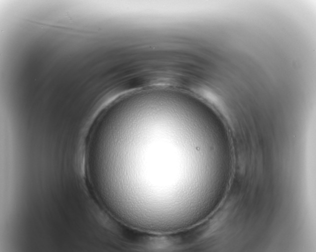 X0000089461227200706221259