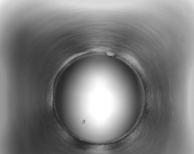 X0000089461228200706221259