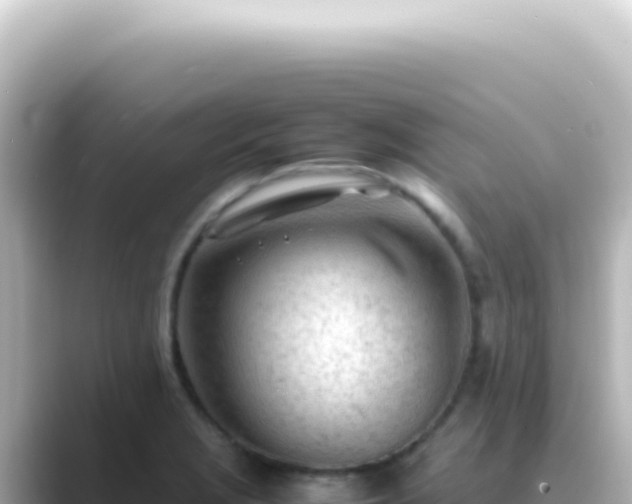 X0000089461229200706221259