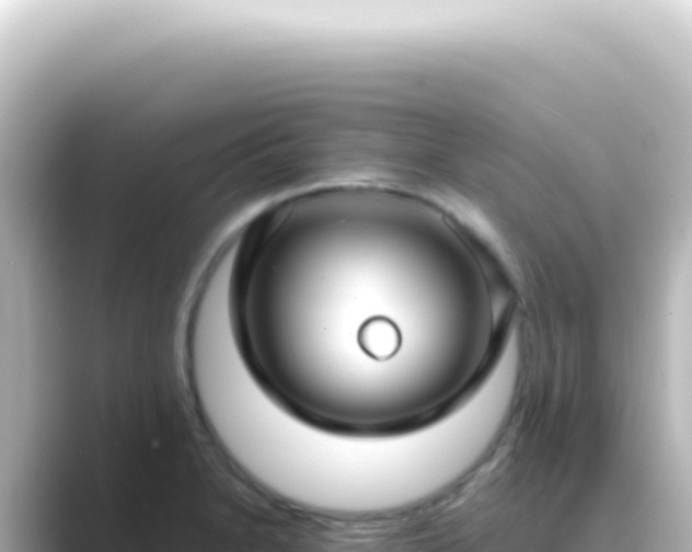 X0000089461230200706221259