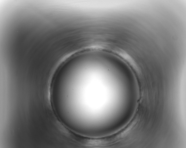X0000089461232200706221259