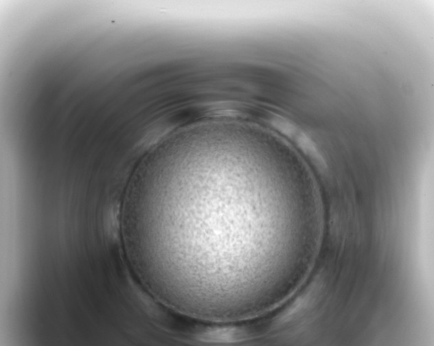 X0000089461233200706221259