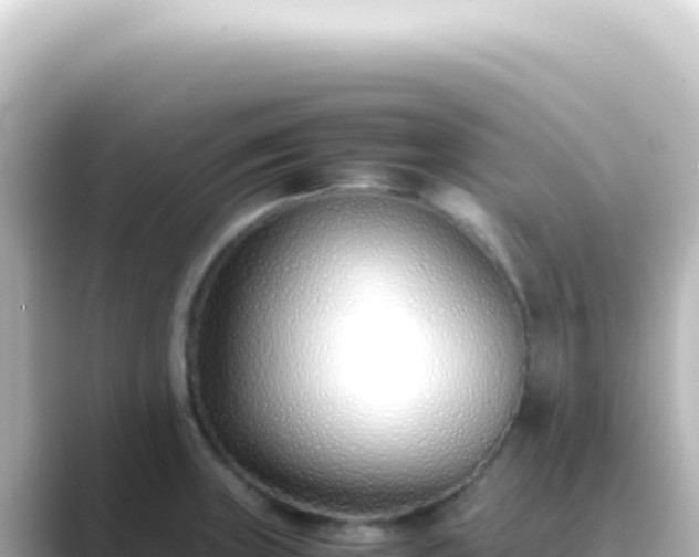 X0000089461235200706221259