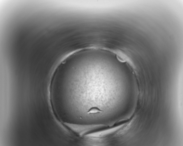 X0000089461239200706221259