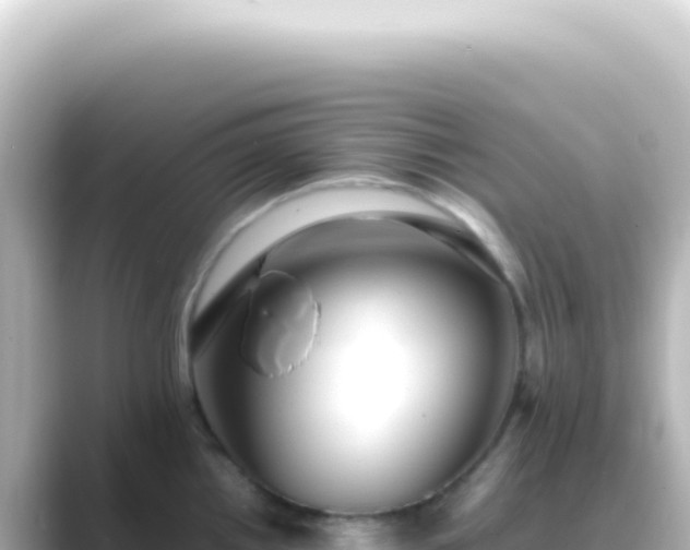 X0000089461242200706221259