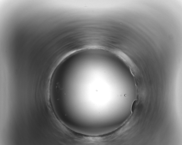 X0000089461244200706221259