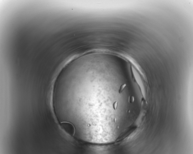 X0000089461245200706221259