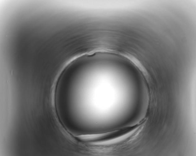 X0000089461246200706221259
