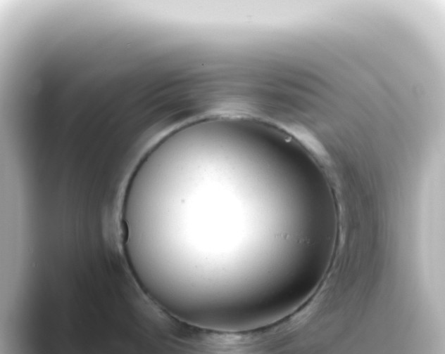 X0000089461248200706221259