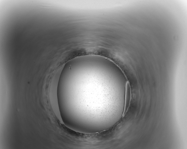 X0000089461249200706221259