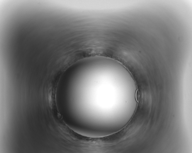 X0000089461250200706221259