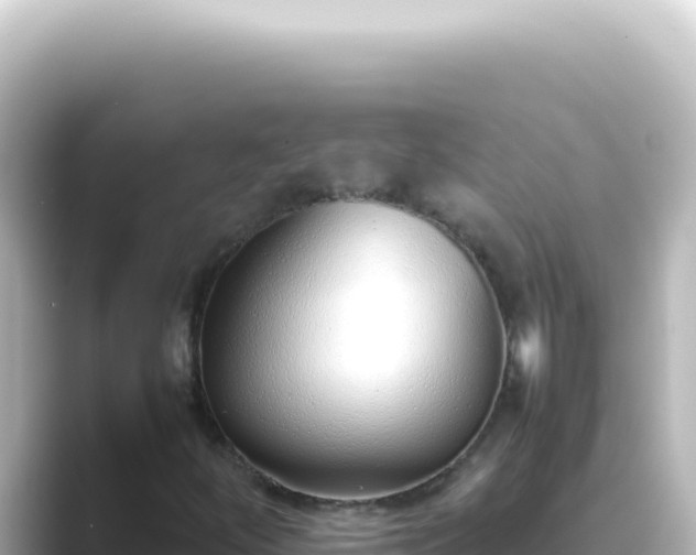 X0000089461252200706221259
