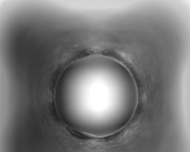 X0000089461253200706221259