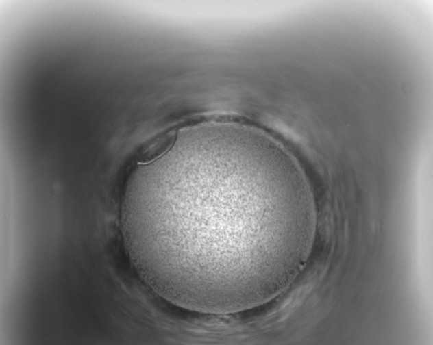 X0000089461255200706221259