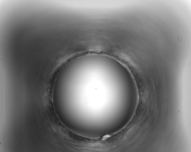 X0000089461256200706221259