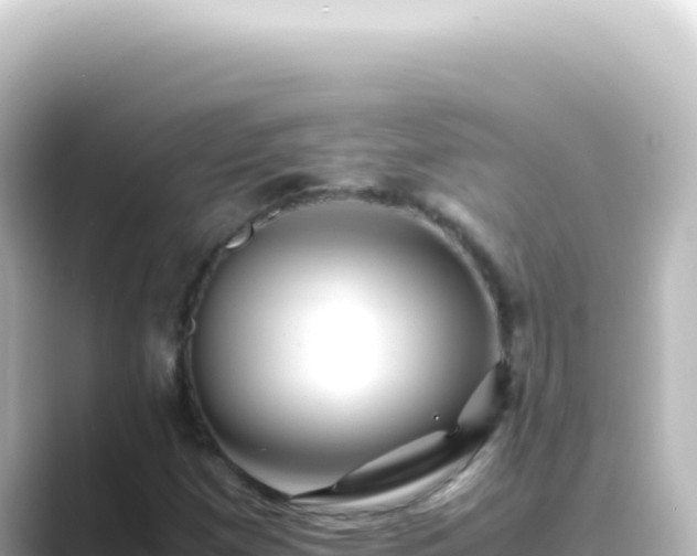 X0000089461257200706221259