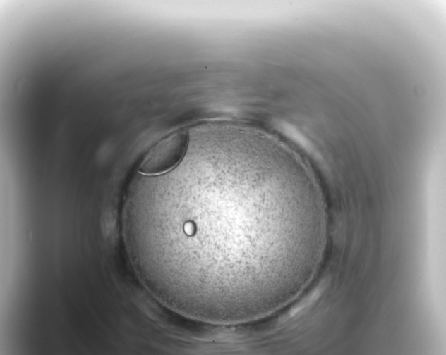 X0000089461259200706221259