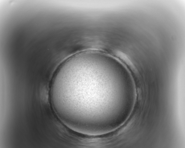 X0000089461260200706221259