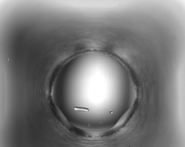 X0000089461261200706221259