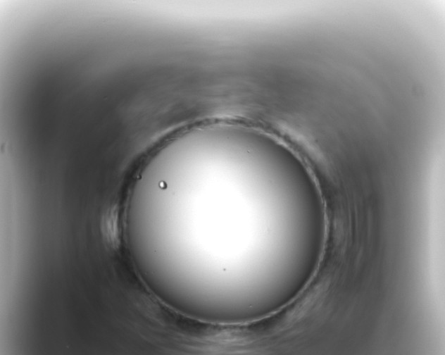 X0000089461262200706221259