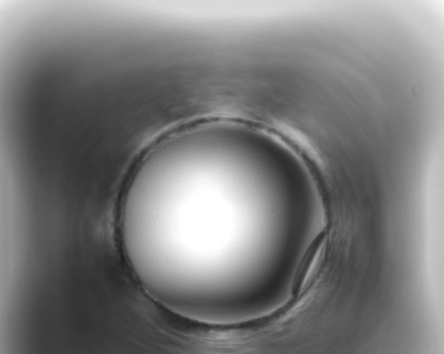 X0000089461264200706221259