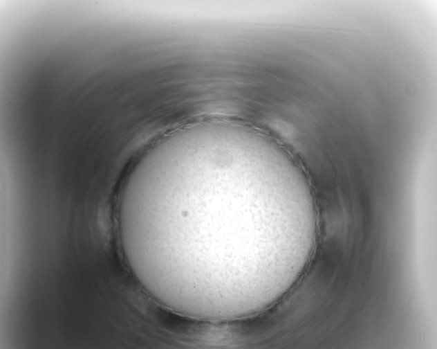 X0000089461266200706221259