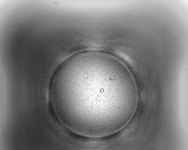 X0000089461267200706221259