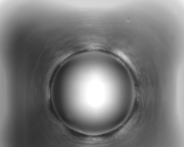 X0000089461269200706221259