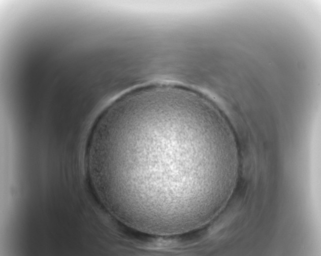 X0000089461271200706221259