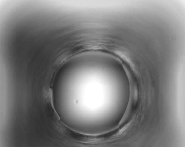 X0000089461273200706221259
