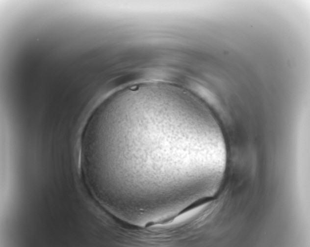 X0000089461275200706221259