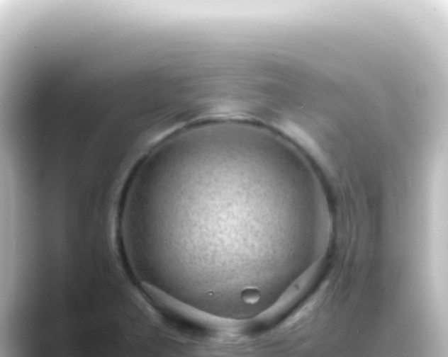 X0000089461277200706221258