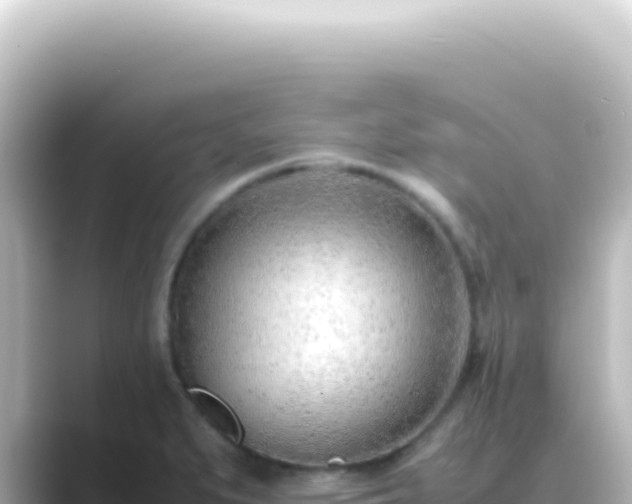 X0000089461279200706221258