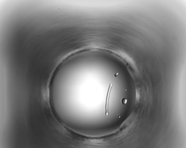 X0000089461280200706221258