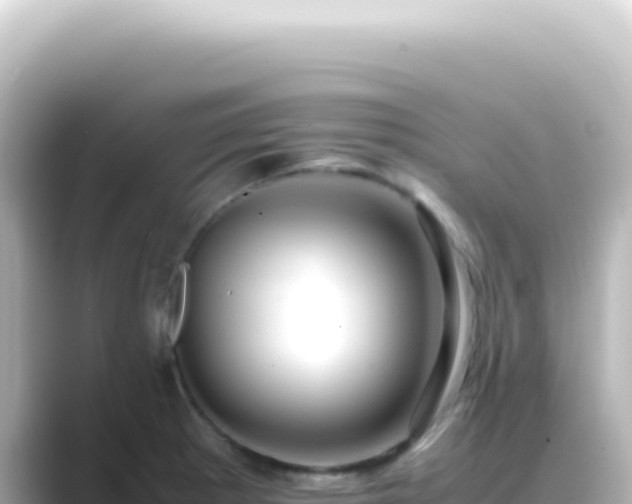 X0000089461281200706221258
