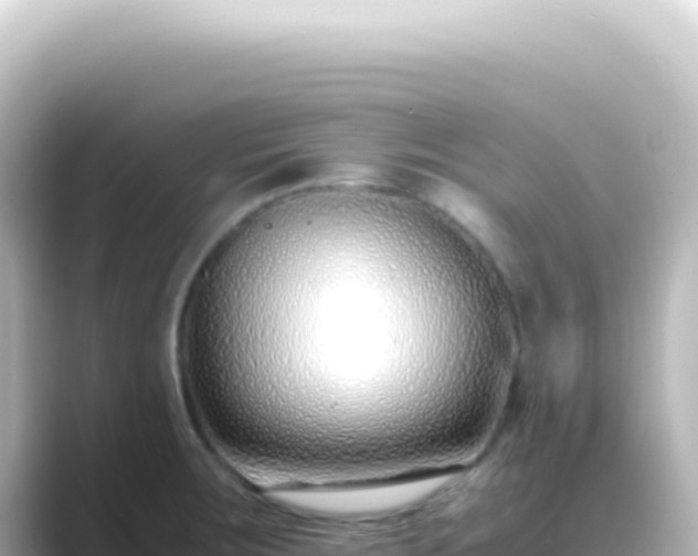 X0000089461283200706221258