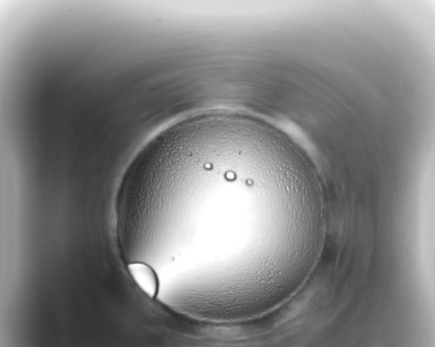 X0000089461287200706221258