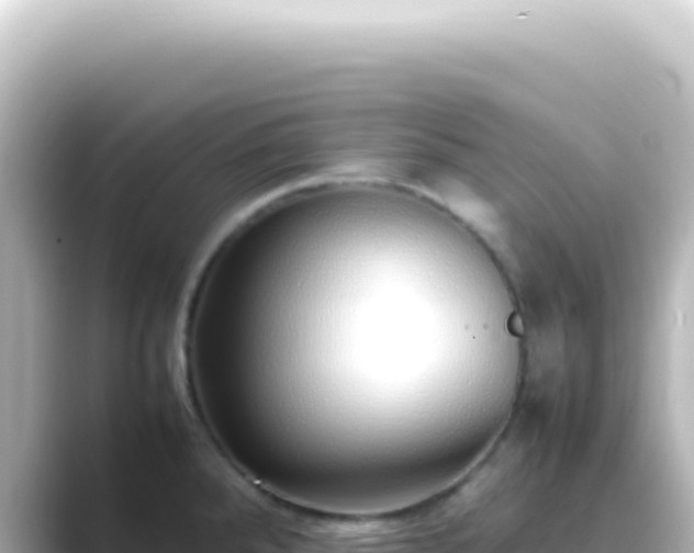 X0000089461288200706221258