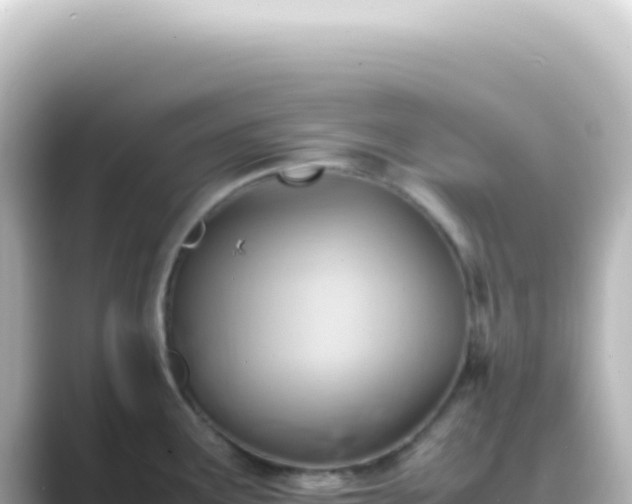 X0000089461291200706221258